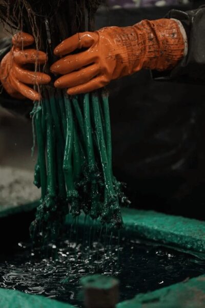 Питомник «Виноградный»