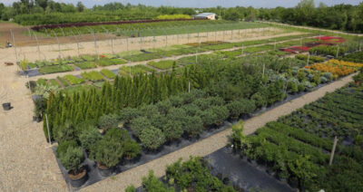 Питомник «ЭкоСад»