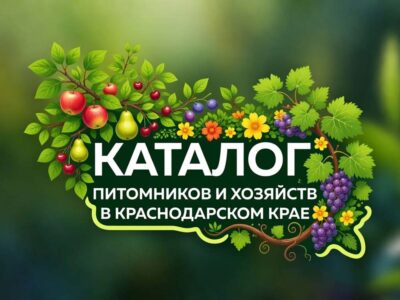 Крымская опытно-селекционная станция (точка реализации)
