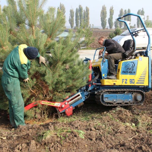Питомник «Розовый Сад»