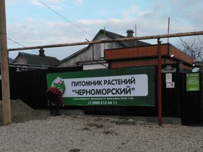 Черноморский