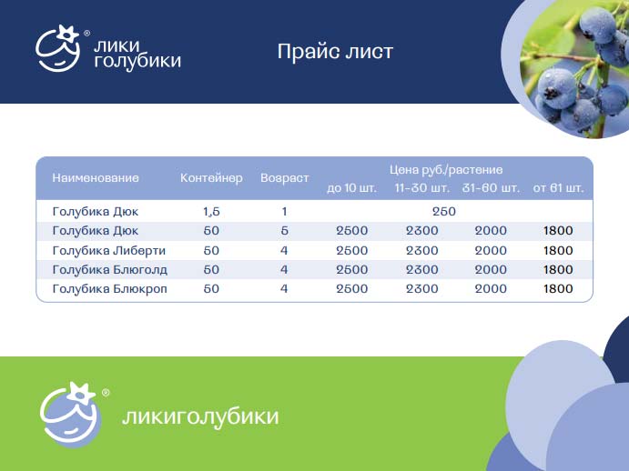 Лики голубики